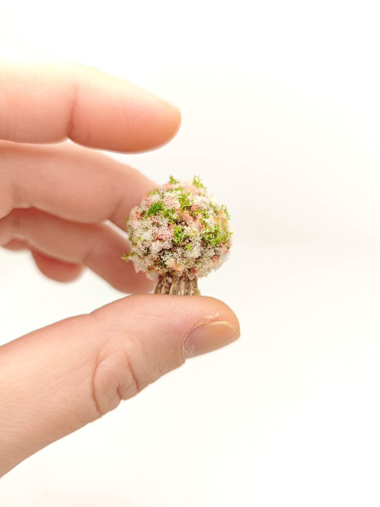 Fairy Garden Accessories Trees Tree Hole