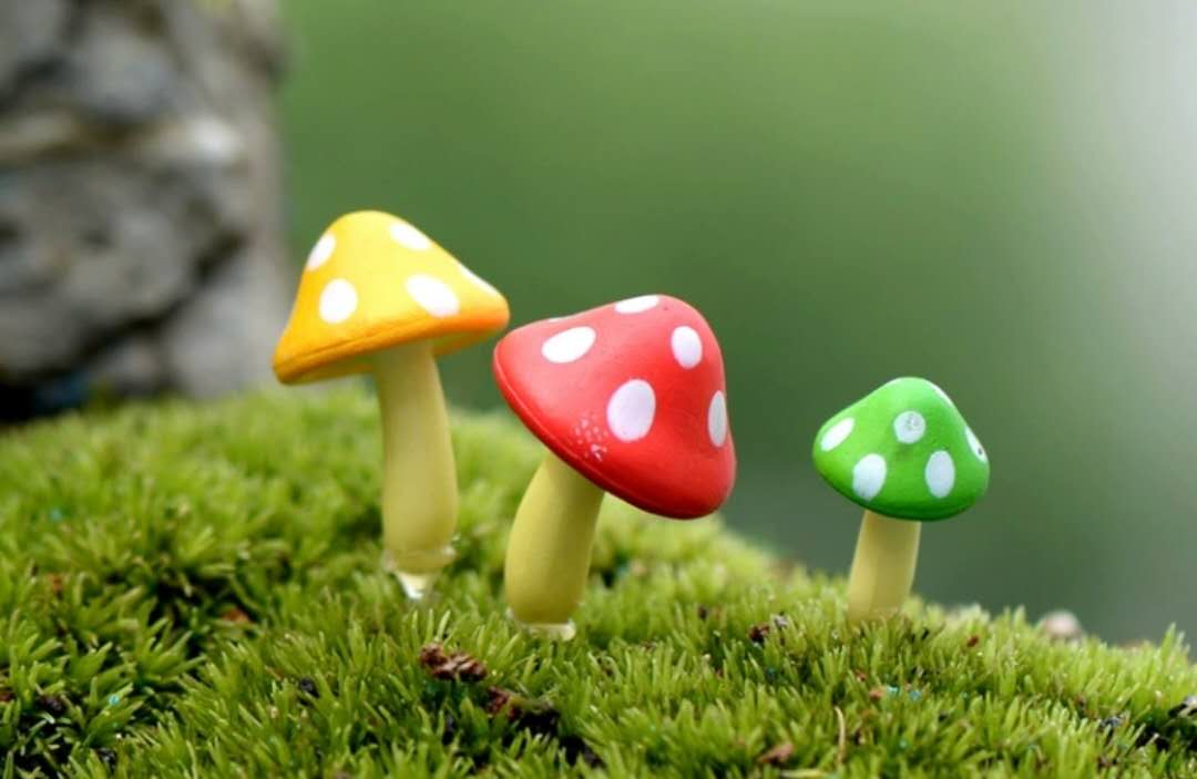 Fairy Garden Accessories Mushrooms