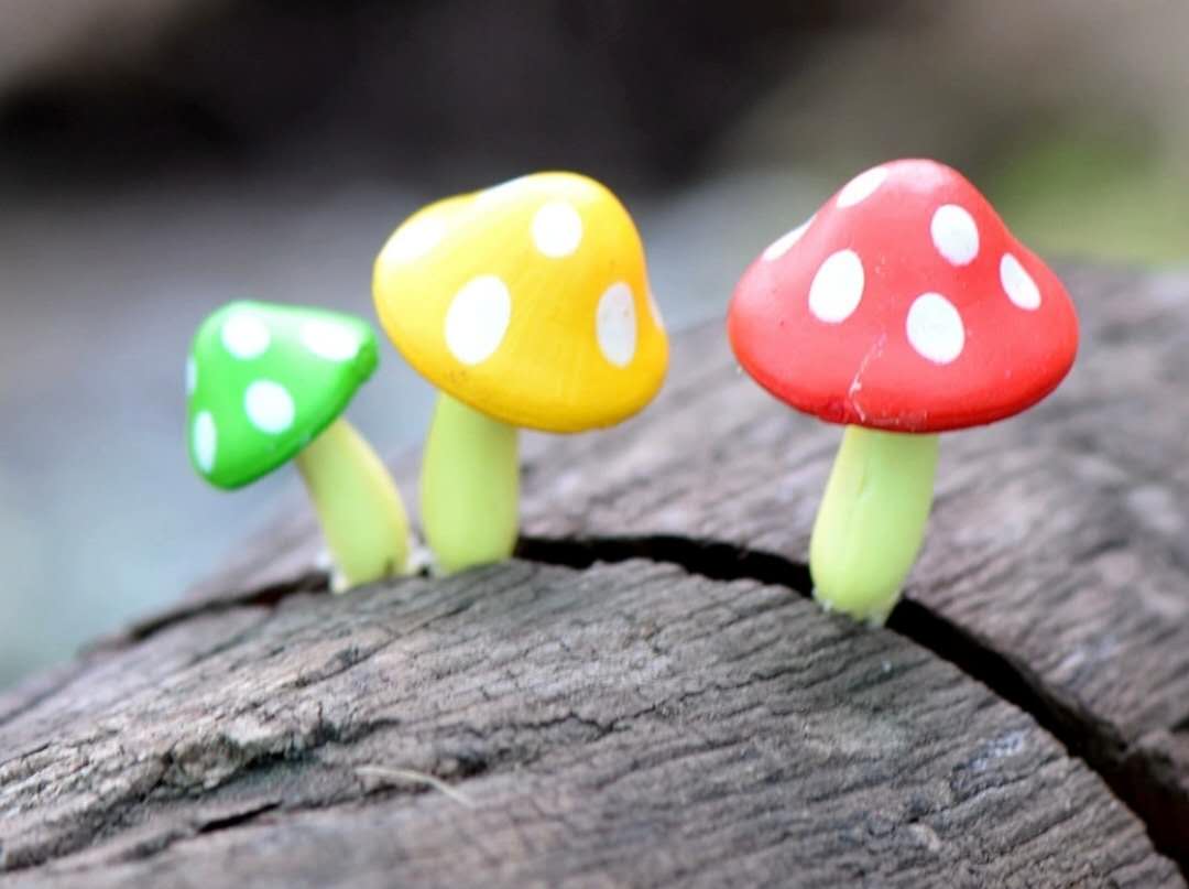 Fairy Garden Accessories Mushrooms