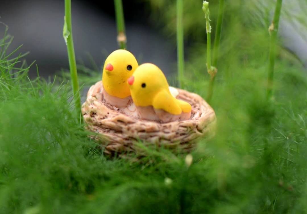 Fairy Garden Accessories Animals Birds in a Nest