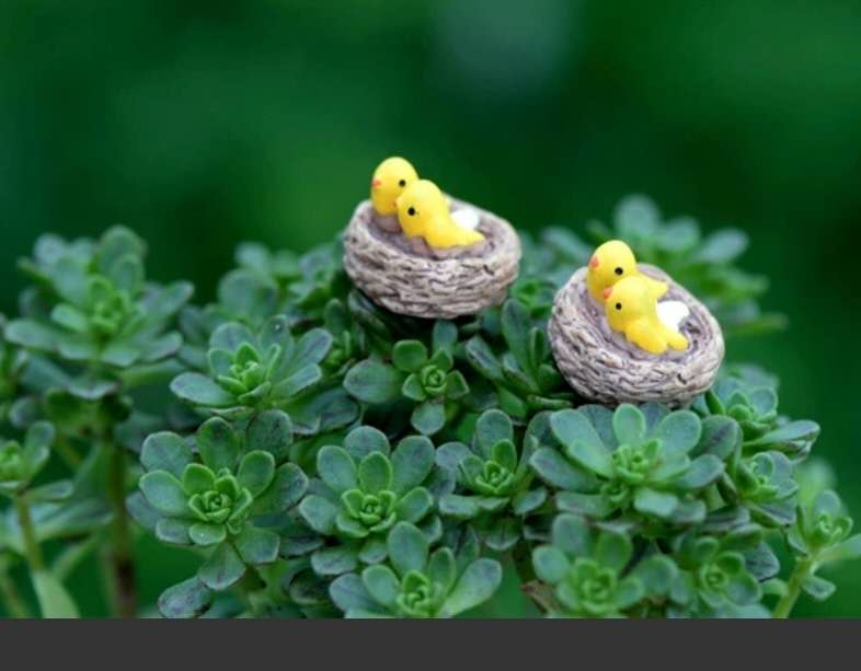 Fairy Garden Accessories Animals Birds in a Nest