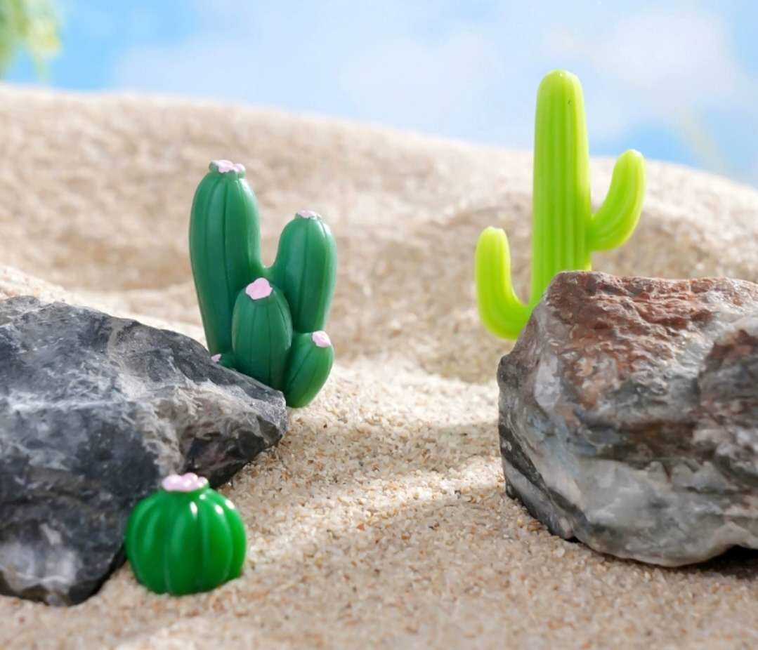 Fairy Garden Accessories Plants Cactus