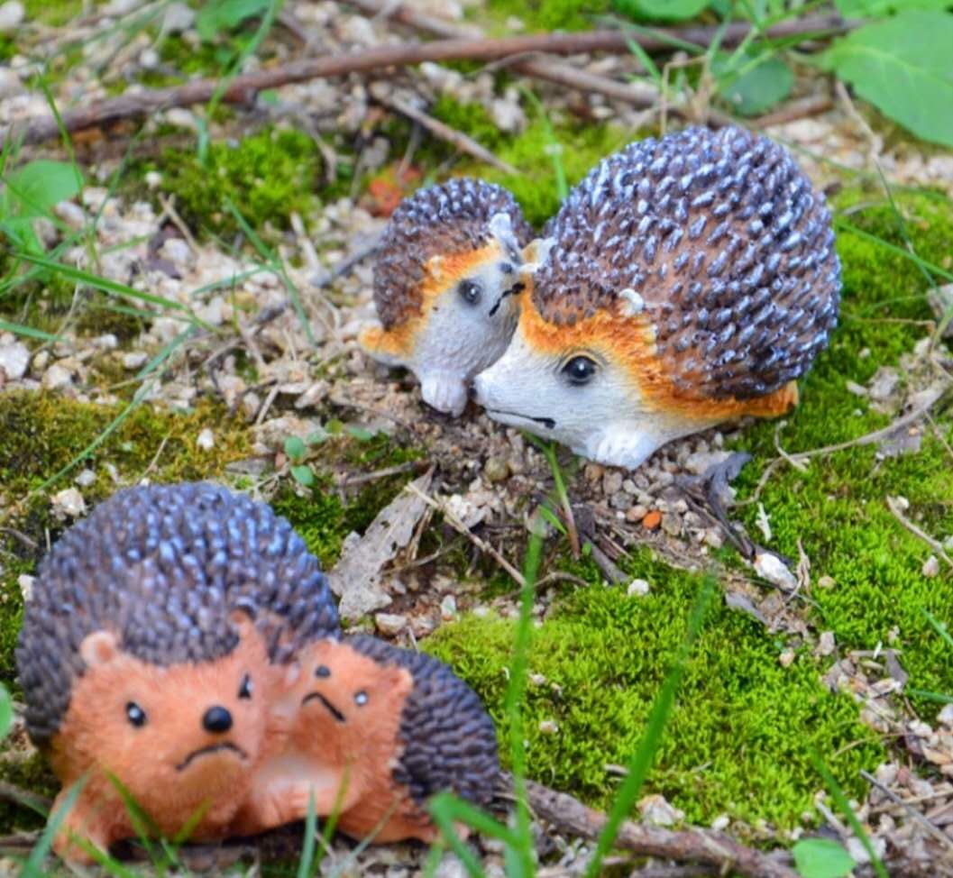 Fairy Garden Accessories Animals Hedgehog