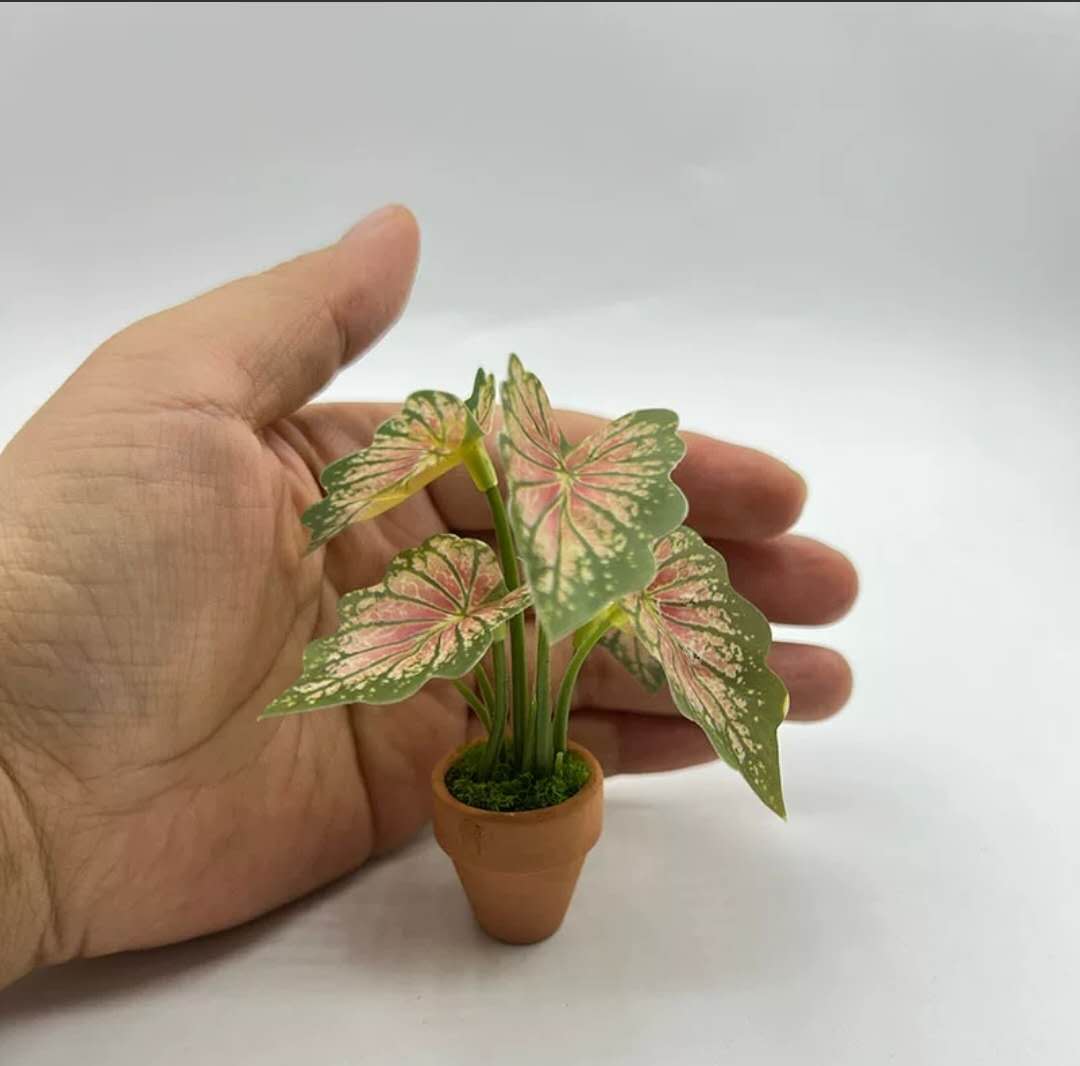 Fairy Garden Accessories Plant