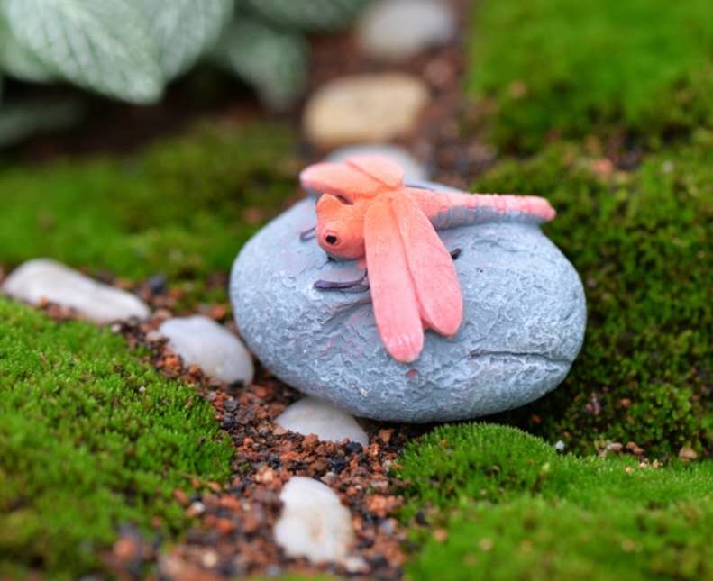 Fairy Garden Accessories Dragonfly On The Stone