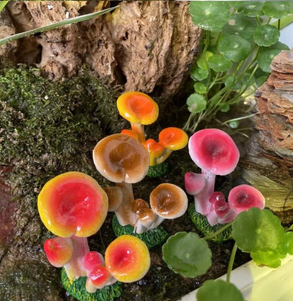 Fairy Garden Accessories Mushrooms