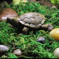 Fairy Garden Accessories Turtle