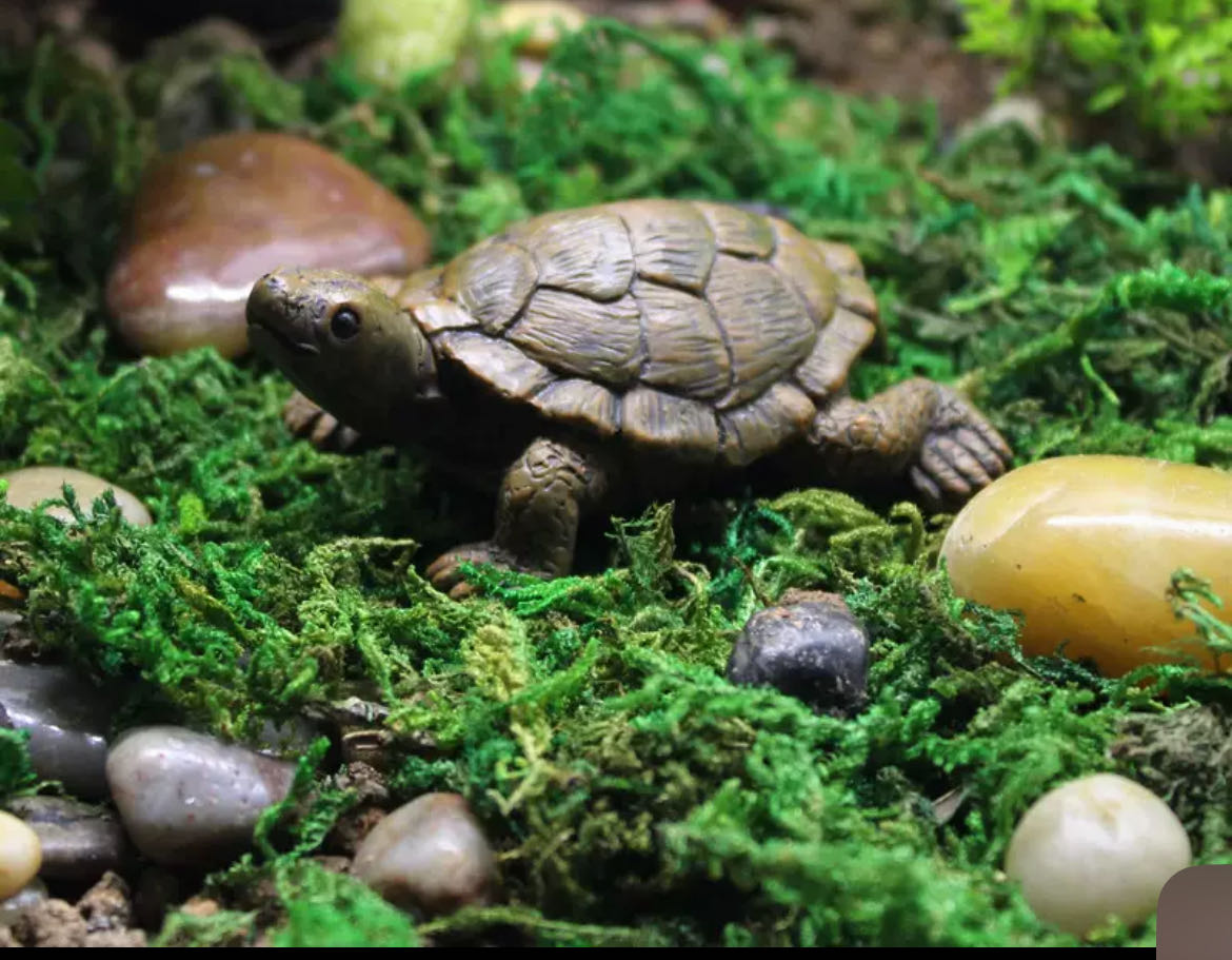 Fairy Garden Accessories Turtle