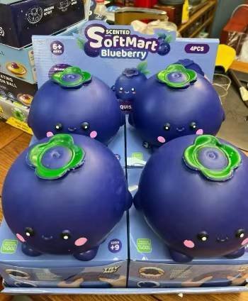 Jumbo blueberry squishy