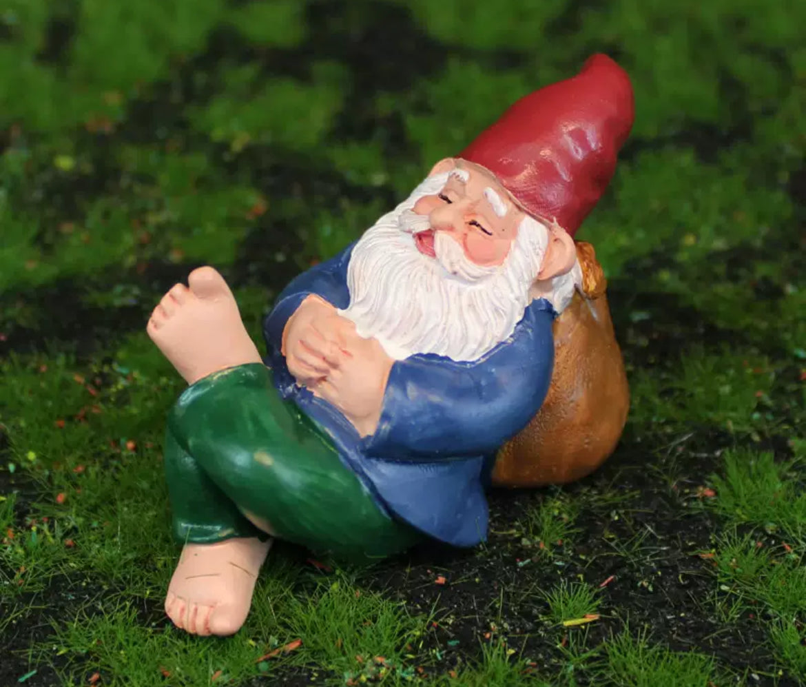 Fairy Garden Figurines Gnomes Dwarfs