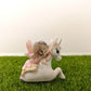 Fairy Garden Accessories - Fairy & Unicorn Home and Outdoor Decor