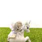 Fairy Garden Accessories - Fairy & Unicorn Home and Outdoor Decor