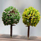 Fairy Garden Trees Fairy Garden Accessories