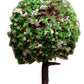 Fairy Garden Trees Fairy Garden Accessories