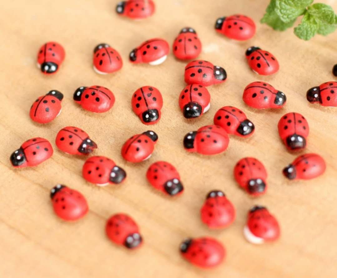 Ladybug Fairy Garden Accessories