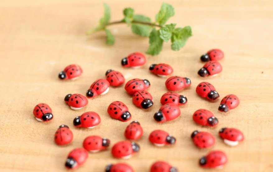 Ladybug Fairy Garden Accessories