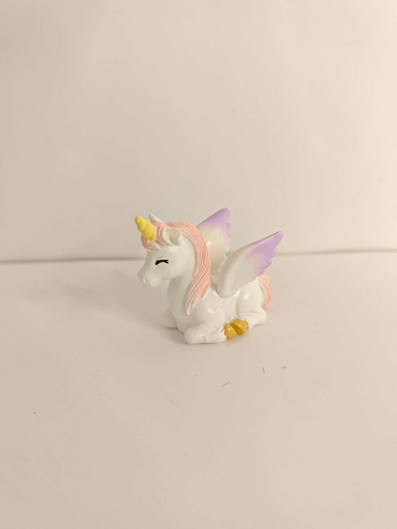 Deluxe Fairy Garden Kits (38 Pcs)