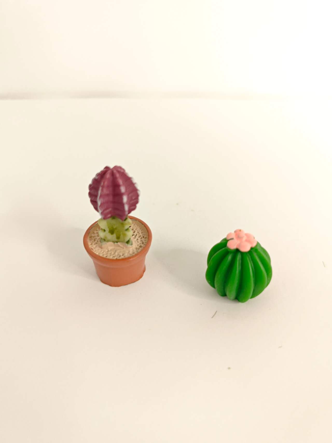Deluxe Fairy Garden Kits (38 Pcs)
