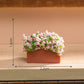 Fairy Garden Accessories Flower Pot