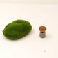 33pcs fairy garden kit