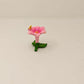 43pcs fairy garden kit