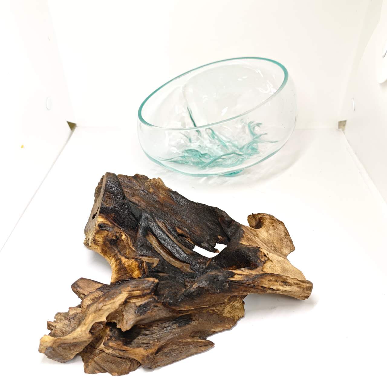 Rustic Driftwood Glass Terrarium Bowl
