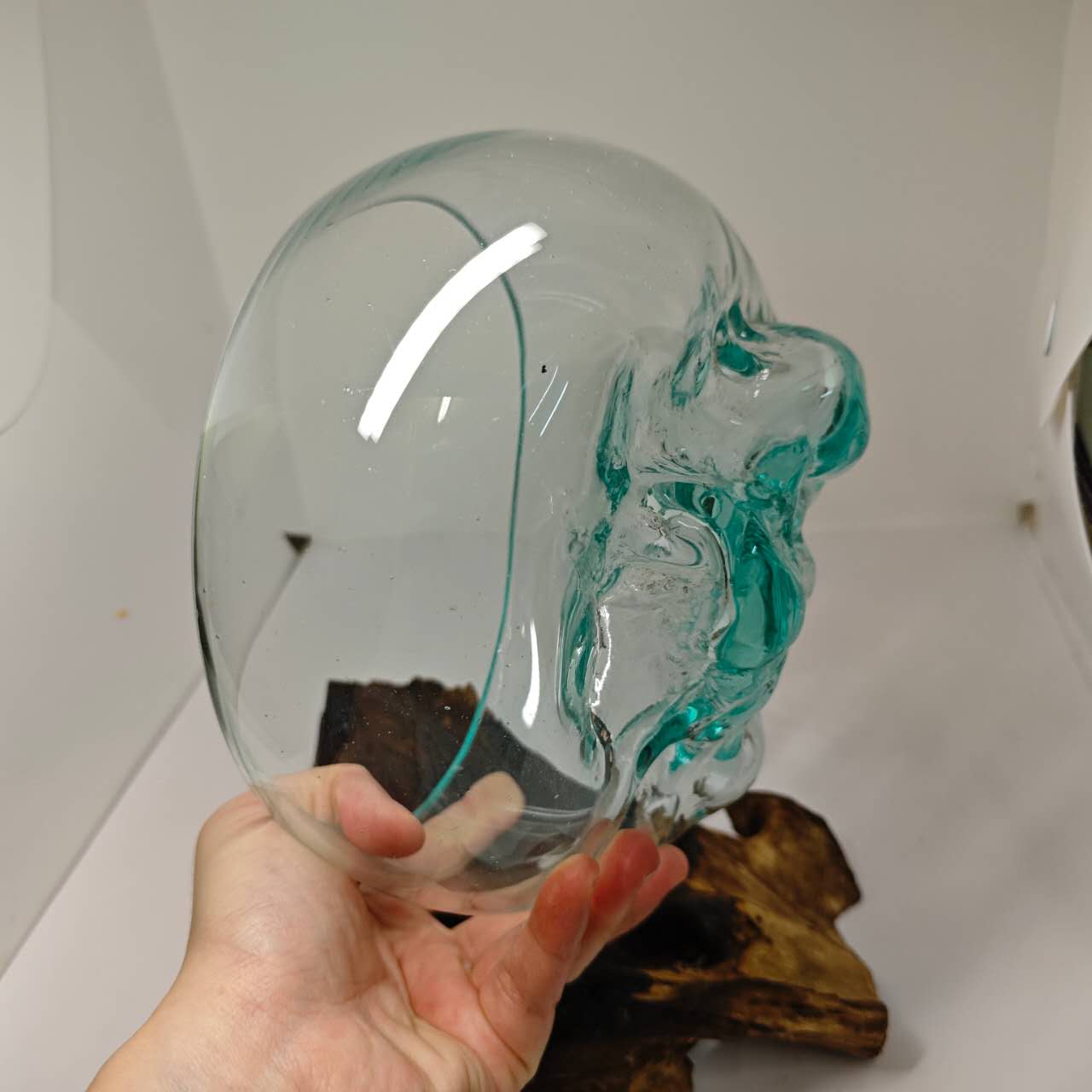 Rustic Driftwood Glass Terrarium Bowl