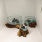 Rustic Driftwood Glass Terrarium Bowl