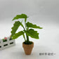 Fairy Garden Accessories Plant