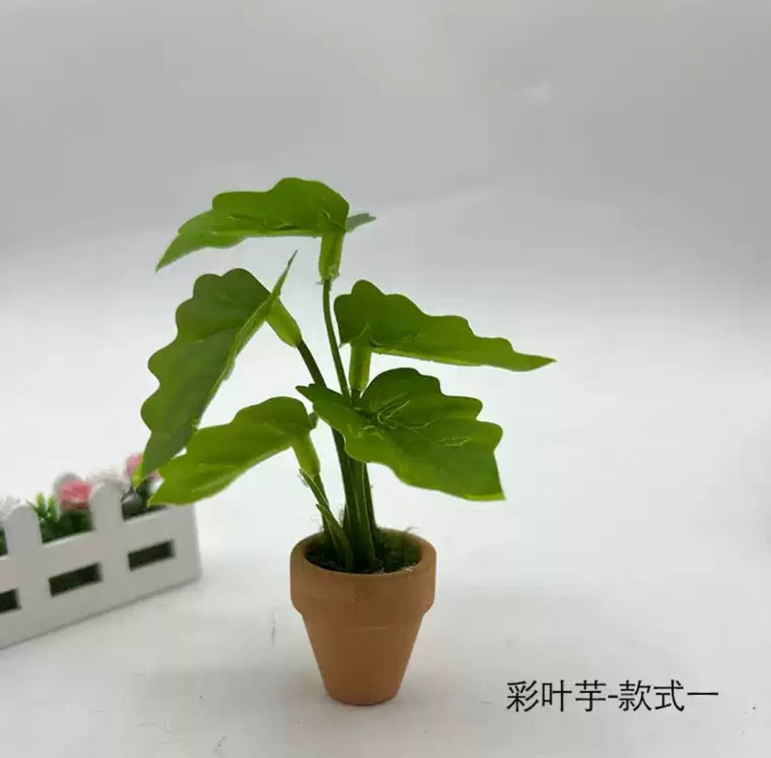 Fairy Garden Accessories Plant