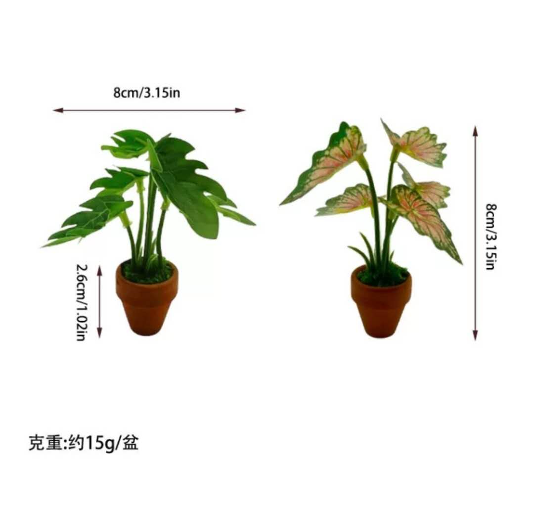 Fairy Garden Accessories Plant