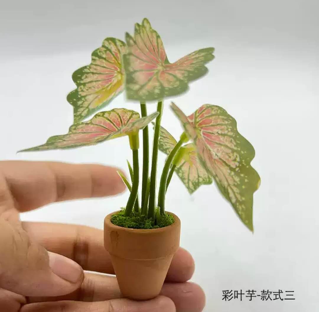Fairy Garden Accessories Plant