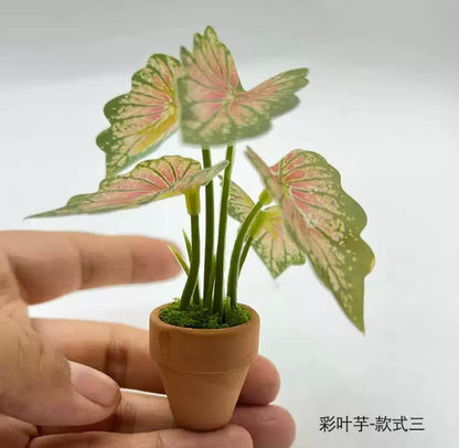 Fairy Garden Accessories Plant