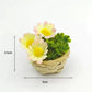Fairy Garden Accessories plant flower