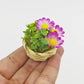 Fairy Garden Accessories plant flower