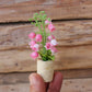 Fairy Garden Accessories plant flower