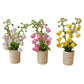 Fairy Garden Accessories plant flower