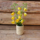Fairy Garden Accessories plant flower