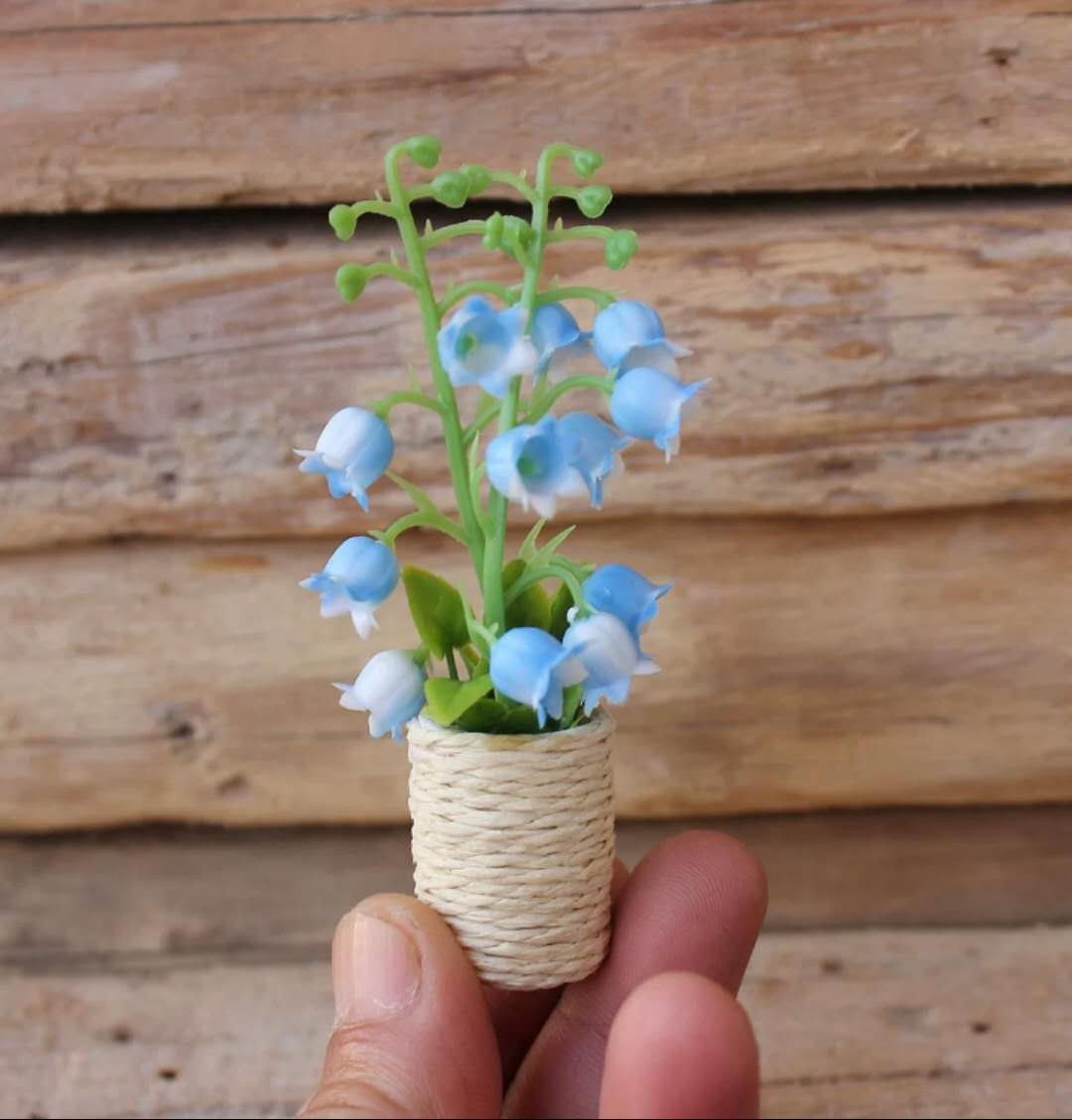 Fairy Garden Accessories plant flower