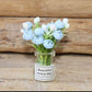 Fairy Garden Accessories plant flower