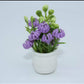 Fairy Garden Accessories plant flower