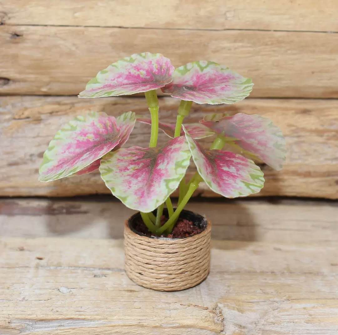 Fairy Garden Accessories plant flower
