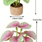 Fairy Garden Accessories plant flower
