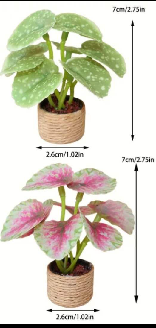 Fairy Garden Accessories plant flower