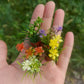 Fairy Garden Accessories plant flower