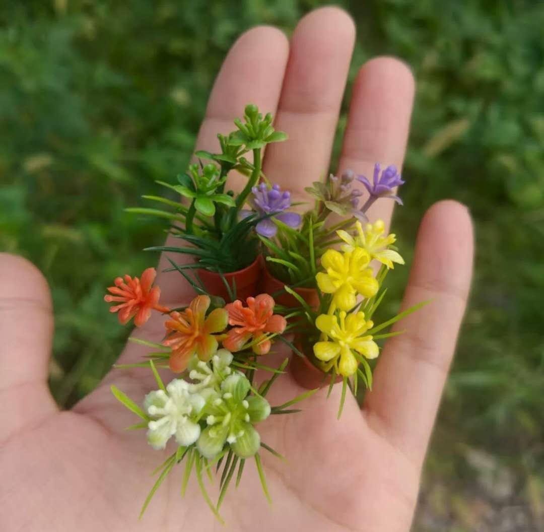 Fairy Garden Accessories plant flower