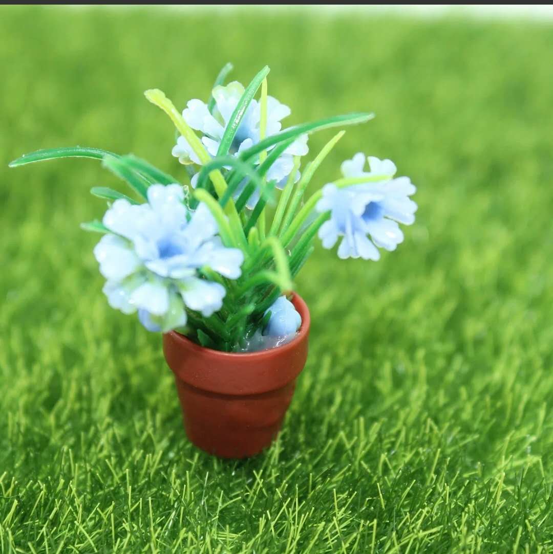 Fairy Garden Accessories plant flower