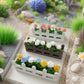 Fairy Garden Accessories plant flower bed