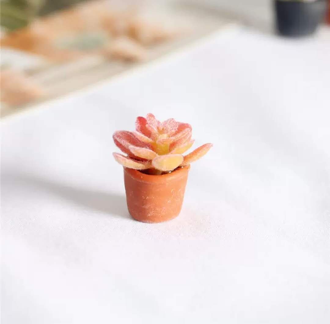Fairy Garden Accessories plant