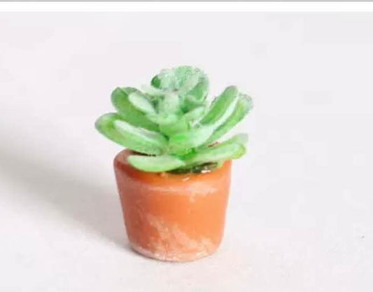 Fairy Garden Accessories plant